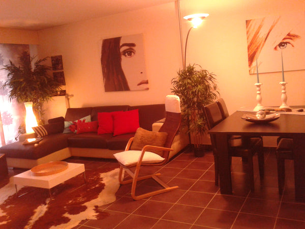 A votre disposition une jolie chambre avec lit confortable 2 places, grands plac Lyon, France chambre dans appart. en ville Private room in rental unit vacation rental 9056788