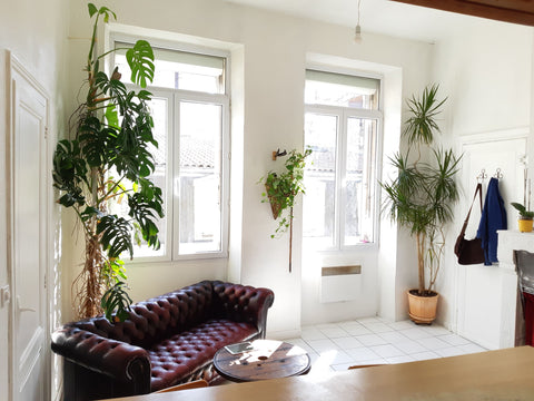 Appartement T2 coquet de 34m2, beaux volumes & hauteur sous plafond, dans petit  Bordeaux, France Appartement T2 coquet proche quartier historique Entire rental unit vacation rental 28126137