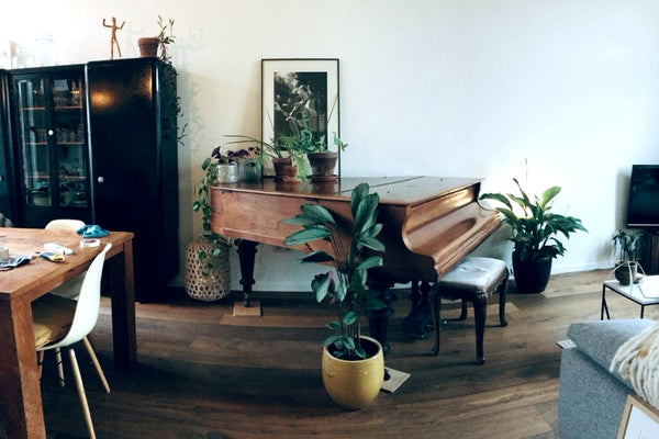 Welkom in 't Leitje! Een rustig doodlopend straatje zonder verkeer waar je bijna Belgiek, Belgium Gezellige en rustige gezinswoning in Mortsel Entire home vacation rental 554107693826891964