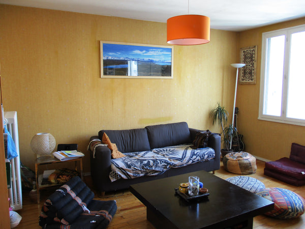 Grande chambre de 13m² avec lit double confort dans un appartement très lumineux Lyon, France Super appart lumineux et central! Private room in rental unit vacation rental 13054083