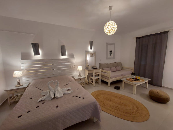 The welcoming hostess is always there to greet you cordially, giving you the nec  Diplos Studios Double Entire rental unit vacation rental 9324759