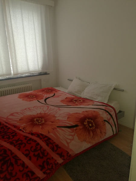 Une grande chambre standing, avec grand calme, dans un bel immeuble au 4 ème éta Brussels, Belgium Chambre spacieuse a Uccle Private room in rental unit vacation rental 20513619