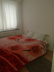 Une grande chambre standing, avec grand calme, dans un bel immeuble au 4 ème éta Brussels, Belgium Chambre spacieuse a Uccle Private room in rental unit vacation rental 20513619