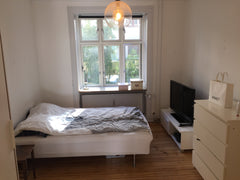 A really nice apartment where the living room has a big window and lightens up b Copenhagen, Denmark BEST LOCATION IN CPH: near city, sea and metro Entire rental unit vacation rental 19975285