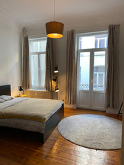 Large private apartment (entirely for you) in a typical Maison de Maître in the  Brussels, Belgium Bright apartment (EU: Schuman / Madou) Entire rental unit vacation rental 45795779