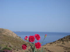 <b>The space</b><br />The studio is located in a peaceful and relatively isolate Naxos, Greece AKALLIS Entire rental unit vacation rental 14527892