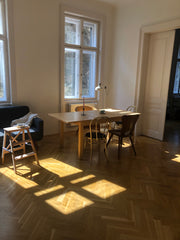 Verbringe deinen Sommer in Wien – in dieser geräumigen und ruhigen Unterkunft. Berlin, Germany Schöne Altbauwohnung für den Sommer in Wien Entire rental unit vacation rental 657691846257666984