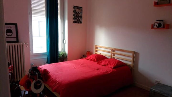 Grenoble, France Chambre avec sdb privée 25m2 calme et lumineuse Private room in townhouse vacation rental 35475577