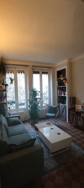 Bienvenue chez moi, je vis dans cet appartement à l'année et je le rend disponib Villeurbanne, France Appartement proche centre-ville Entire rental unit vacation rental 771414762627204474