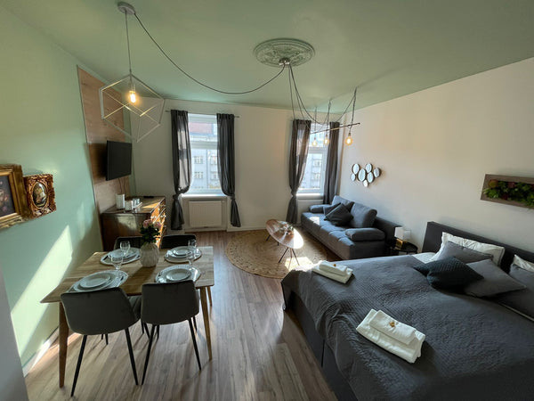 Charming,newly renovated studio apartment in a traditional old Viennese resident Vienna, Austria Charming green wave 