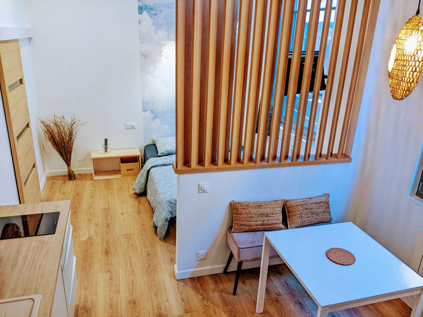 Profitez d'un logement élégant et central de 25m² refait à neuf dans un quartier  Lyon, superbe appartement la tête dans les nuages Entire rental unit vacation rental 709398015945893633