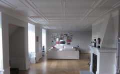 Unique entire six bedroom 260m2 (2800ft2) penthouse apartment showered with ligh Copenhagen, Denmark 260m2 in the center of Copenhagen Entire rental unit vacation rental 2787797