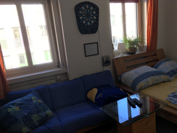 You can explore the city with different trains and busses (tube U3, two bus line Saint Pölten, Austria comfortable room in vienna Private room in rental unit vacation rental 19210496