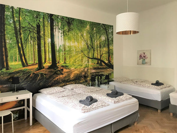 The Apartment includes a living room and 1 big bedroom and it is optimal for a f Vienna, Austria Apartment for up to 4 (1 big bedroom) Entire rental unit vacation rental 38037296