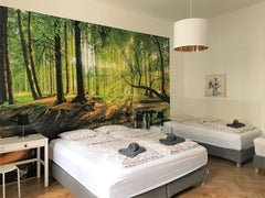 The Apartment includes a living room and 1 big bedroom and it is optimal for a f Vienna, Austria Apartment for up to 4 (1 big bedroom) Entire rental unit vacation rental 38037296