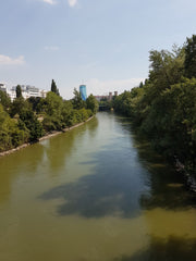 Die Wohnung liegt im 2. Bezirk in einer hippen und sicheren Gegend. In 3 Min. is Vienna, Austria Zimmer in schöner Wohnung im Zentrum von Wien Private room in rental unit vacation rental 19420155