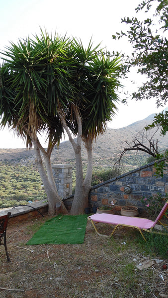 Our Studios are in the village Shisma to the upper part of Elounda Village in Cr  Sunny Studios with view in Elounda Entire rental unit vacation rental 15864709