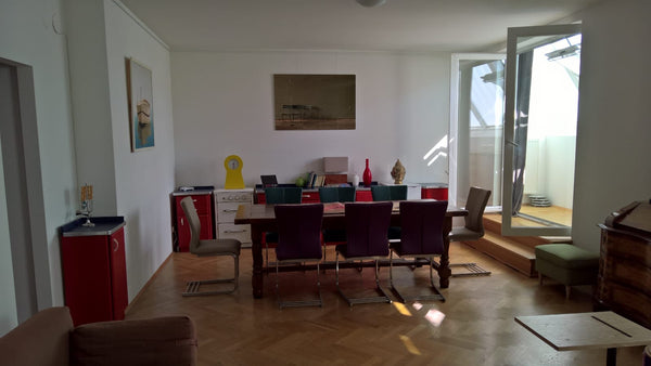 We are renting out our large, 2 bedroom, 2 bathroom duplex.  The apartment is in Buenos Aires, Argentina Sunny home in central Vienna, 6 guests Entire rental unit vacation rental 26771004