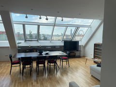This flat has definitely a lot to offer! With a size of 130m2, 2 Terraces,  2 Ba Vienna, VA 360° Blick Loft 3,  200 m vom Zentrum entfernt Entire loft vacation rental 597645656217929045