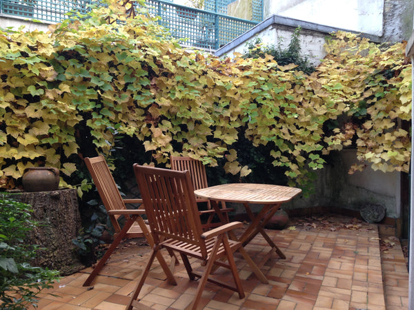 A ground floor apartment (690 Sq Feet) in our own house. South of the historic B Paris, France Quaint and quiet! Live in a house at Paris (64m2) Entire rental unit vacation rental 22710982