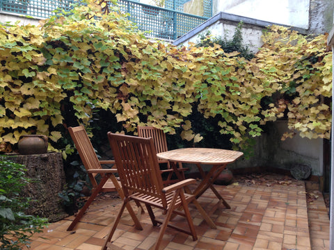A ground floor apartment (690 Sq Feet) in our own house. South of the historic B Paris, France Quaint and quiet! Live in a house at Paris (64m2) Entire rental unit vacation rental 22710982