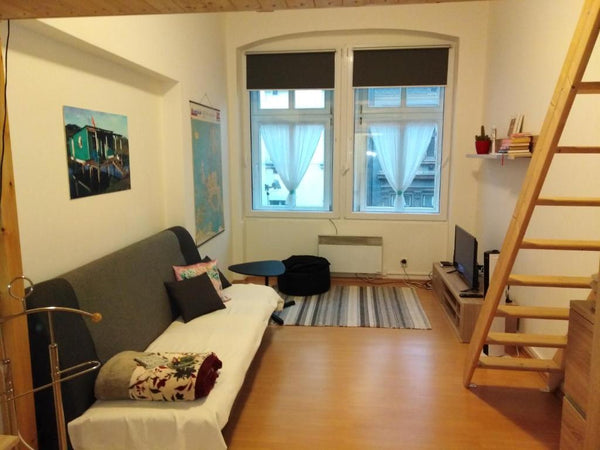 Ubytování v bytě 1+1 (34 m2) v historickém domě z r. 1895, v blízkosti autobusov  Ubytování v historickém domě nedaleko centra Entire condo vacation rental 552758600478945791