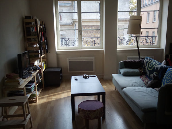 Bienvenue dans notre appartement ! Lumineux et proche des transports, il se trou Paris, France Charmant 2 pièces Vieux Lyon Entire rental unit vacation rental 9041697