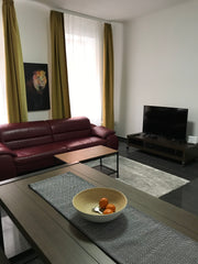 The Apartment includes a living room and 2 bedrooms and it is optimal for up to  Vienna, Austria nice apartment with terrace on the ground floor Entire rental unit vacation rental 34987758