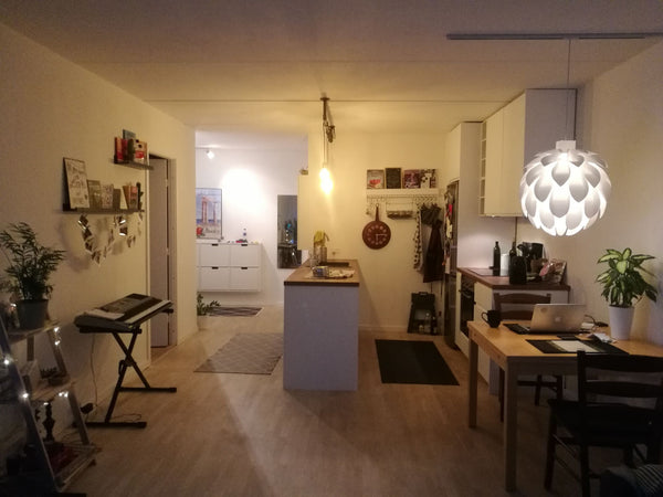 Spacious, light and newly renovated flat in Copenhagen, Østerbro, for 1-4 people Copenhagen, Denmark Newly renovated flat with balcony, Østerbro Entire rental unit vacation rental 19689135