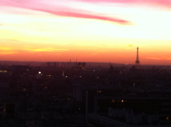 studio lumineux et calme avec une vue incroyable sur Paris (Tour Eiffel , Montma Paris, France studio vue panoramique sur Paris 11 ème ! Entire rental unit vacation rental 2868736