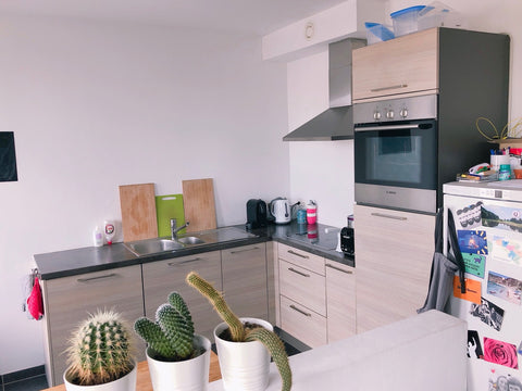 Big and cosy 2-bedroom apartment close to central station in Antwerp. 5min bikin Antwerp, Belgium 2 bedroom app (122m2) + terrace and parking Entire rental unit vacation rental 45416364