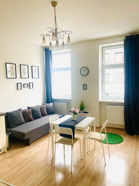 Cute cozy studio apartment!  Entrance, bathroom with toilet, extra room for wash Lower Austria, Austria The Beethoven Apartment Entire rental unit vacation rental 665779283887880984