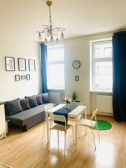 Cute cozy studio apartment!  Entrance, bathroom with toilet, extra room for wash Lower Austria, Austria The Beethoven Apartment Entire rental unit vacation rental 665779283887880984