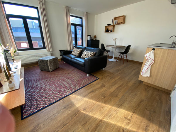 The beautiful apartment is the perfect location for your short, mid or long term Ghent, Belgium Luxury duplex to enjoy your stay to the max! Entire rental unit vacation rental 46047880