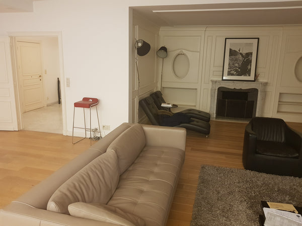 Appartement de luxe de 200m2, avec 2 chambres, salon, cuisine, 2 salles d'eau.  Emile Demot Entire rental unit vacation rental 31187035