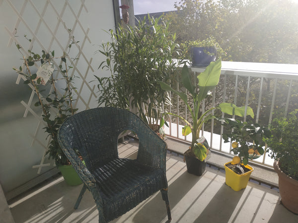 Appart de 66 m2 dans résidence, au 3ème étage. Fibre, wifi rapide. Parking  priv Bordeaux, France Grand appart, 2 terrasses de 10 m2 ensoleillées Entire rental unit vacation rental 48362864