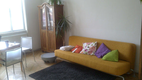 Vermiete 12m2 Zimmer in schöner Altbauwohnung. Wohnzimmer kann mitbenützt werden Vienna, Austria Günstiges Zimmer in Altbauwohnung im 9. Bezirk Private room in rental unit vacation rental 3410733