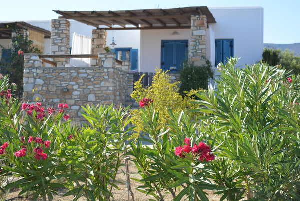 All in white and blue, the original colors of Cyclades Islands, will offer you r Athens, Greece Nice house-Comfortable-Paros Cycladic home vacation rental 13267069