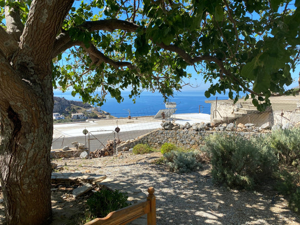 Our stone-built traditional house  is located at the top of the charming village Shaharut, Israel Igalya's  traditional house Entire home vacation rental 16909299