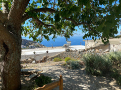 Our stone-built traditional house  is located at the top of the charming village Shaharut, Israel Igalya's  traditional house Entire home vacation rental 16909299