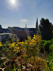 Welcome to our colouful and comfortable apartment with bright open windows and a Antwerp, Belgium Colourful and Comfortable Entire rental unit vacation rental 678762036639124215