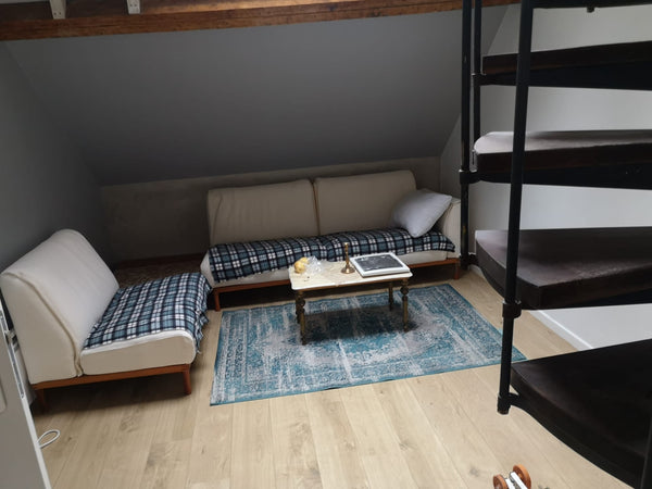 Agréable duplex avec chambre et salle de bain cuisine ainsi qu'un séjour  Duplex confort Entire rental unit vacation rental 48048732