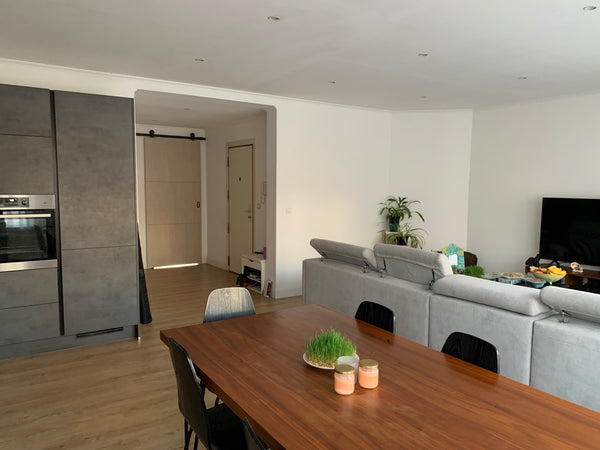 One bedroom apartment - very close to the center - 100m away from the famous Bas  Spacious 1 bedroom apartment centrally-located Entire condo vacation rental 639400122868823398