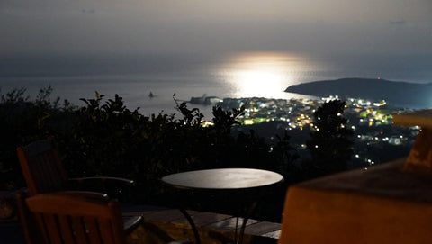 Alba Andros Studio is surrounded by large paved terraces, by fruit trees and vin Athens, Greece Alba Andros Studio Cycladic home vacation rental 33163587