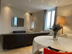 Nous vous proposons cet appartement tout juste rénové et bénéficiant d'une vue i Lyon, France Le Gourguillon : La Papillote Entire rental unit vacation rental 579398365267199877