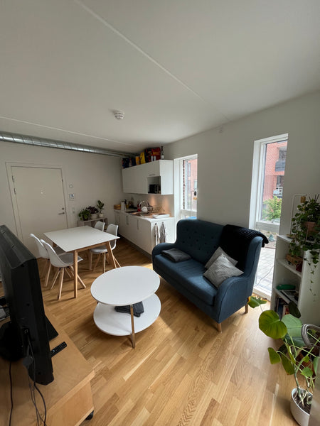 Relax and enjoy the danish summer in this calm harbor-side place, on the edge of Copenhagen, Denmark 1-bedroom apartment perfect two people Entire rental unit vacation rental 39068943