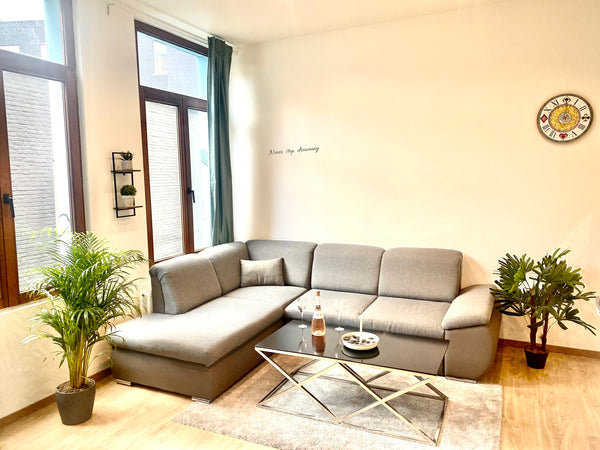 In apartment you have free WI-FI and Netflix<br />Also towels are included in th Antwerp, Belgium In thé hart of the city Entire rental unit vacation rental 49375199
