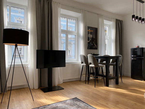 The modern flat has a bedroom with a king size bed and a T V with Netflix. There  Vienna Apartment Entire rental unit vacation rental 49964442