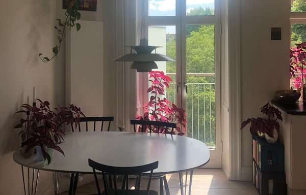 Are you looking for great vacation apartment in the heart of Nørrebro? Then this Copenhagen, Denmark Cute and cozy apartment in the heart of Nørrebro Entire condo vacation rental 638914523393865435