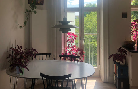Are you looking for great vacation apartment in the heart of Nørrebro? Then this Copenhagen, Denmark Cute and cozy apartment in the heart of Nørrebro Entire condo vacation rental 638914523393865435